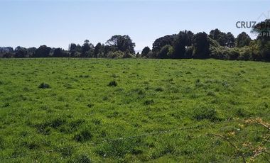 Agrícola en Venta en Camino a Ensenada