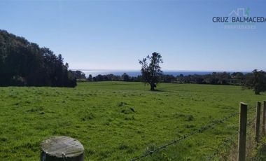 Agrícola en Venta en Camino a Ensenada