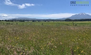 Agrícola en Venta en Camino a Ensenada