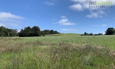 Agrícola en Venta en Camino a Ensenada