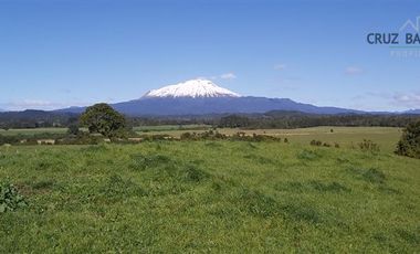 Agrícola en Venta en Camino a Ensenada