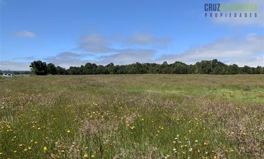 Agrícola en Venta en Camino a Ensenada