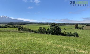 Agrícola en Venta en Camino a Ensenada
