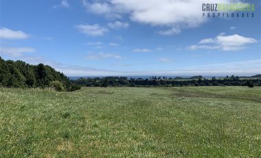 Agrícola en Venta en Camino a Ensenada
