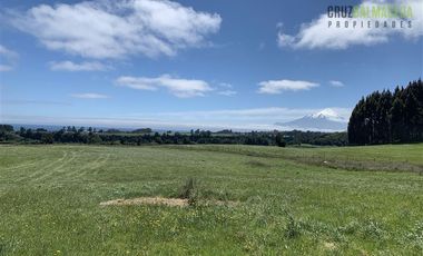 Agrícola en Venta en Camino a Ensenada