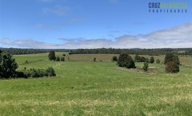 Agrícola en Venta en Camino a Ensenada