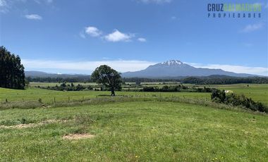 Agrícola en Venta en Camino a Ensenada