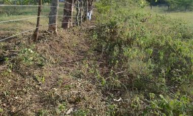 finca en venta en girardot. Cod V5040