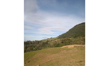 venta de lote en la ceja