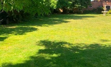 Local - Villa Gobernador Udaondo