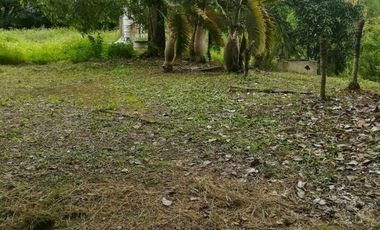 Land for sale in Ban Sahakon, Chiang Mai
