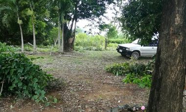 Land for sale in Ban Sahakon, Chiang Mai
