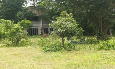 Land for sale in Ban Sahakon, Chiang Mai