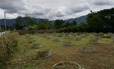 Land for sale in Ban Sahakon, Chiang Mai