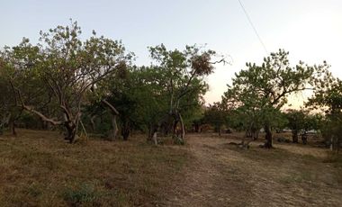 Vendo 3 lotes en Amatlán con vista panorámica
