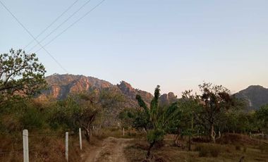 Vendo 3 lotes en Amatlán con vista panorámica