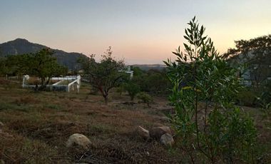 Vendo 3 lotes en Amatlán con vista panorámica