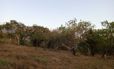 Vendo 3 lotes en Amatlán con vista panorámica