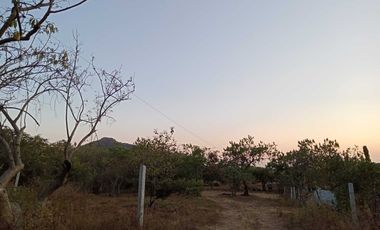 Vendo 3 lotes en Amatlán con vista panorámica