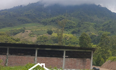 RENTA DE BODEGA EN SANTA ROSA DE CABAL - SECTOR JAZMIN