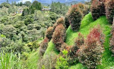 Casa Campestre en venta en Las Palmas Envigado