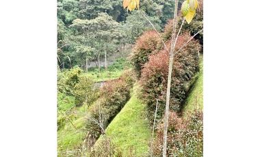 Casa Campestre en venta en Las Palmas Envigado