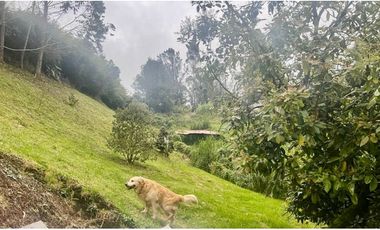 Casa Campestre en venta en Las Palmas Envigado