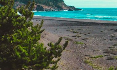 Sitio en Venta en Parcelas Tregualemu vista al mar