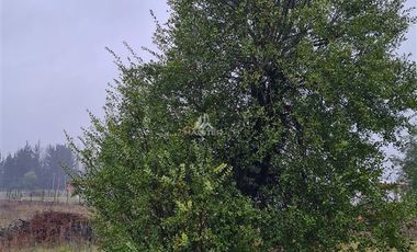 Parcela en Venta en 17 km camino Pedregal