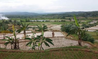 Cheap land for sale 500 hectares in Pesawahan Purwakarta