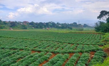 Tanah murah Cibiru kota Bandung 5600m shm strategis