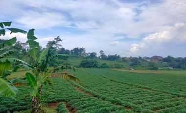 Tanah murah Cibiru kota Bandung 5600m shm strategis