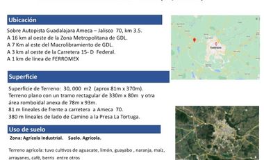 Venta de Excelente terreno desviación Ameca 3 hectareas