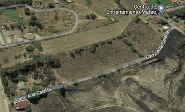 Venta de Excelente terreno desviación Ameca 3 hectareas