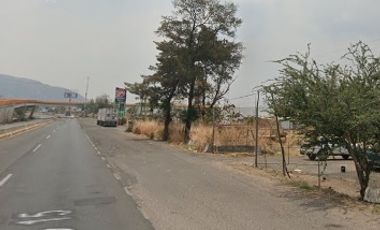 Venta de Excelente terreno desviación Ameca 3 hectareas