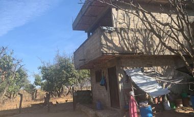 Venta de Excelente terreno desviación Ameca 3 hectareas