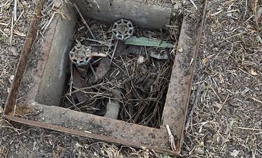 Venta de Excelente terreno desviación Ameca 3 hectareas