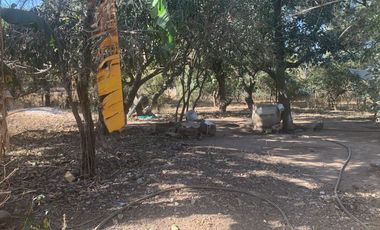 Venta de Excelente terreno desviación Ameca 3 hectareas