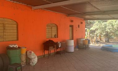 Venta de Excelente terreno desviación Ameca 3 hectareas