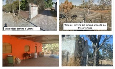 Venta de Excelente terreno desviación Ameca 3 hectareas