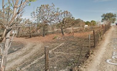 Venta de Excelente terreno desviación Ameca 3 hectareas