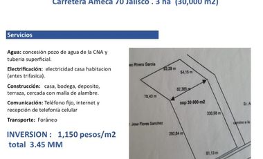 Venta de Excelente terreno desviación Ameca 3 hectareas