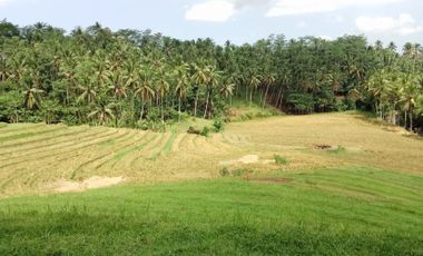 land for sale view of river and rice field in tabanan bali