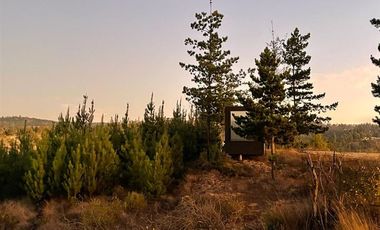 Sitio en venta en Matanzas (Incluye Tiny Cabin)