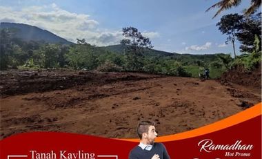Tanah dijual di Jawa Timur, Surabaya