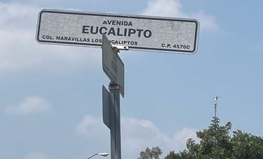 Terreno en Venta en Maravillas Eucaliptos, Acatlan