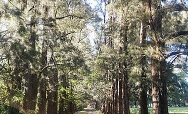 Proximamente Lotes Terrenos en Venta Marcos Paz - Preventa exclusiva