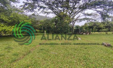 lote en arriendo en valle de menzuly. Cod A15070