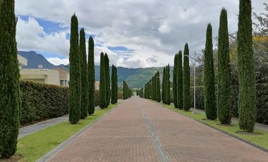 casa campestre en arriendo/venta en vía sopo. Cod V9344353