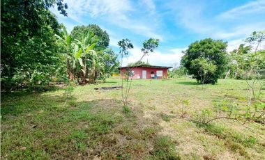 VENDO PROPIEDAD DE 1629M2 EN CHIRIQUI
